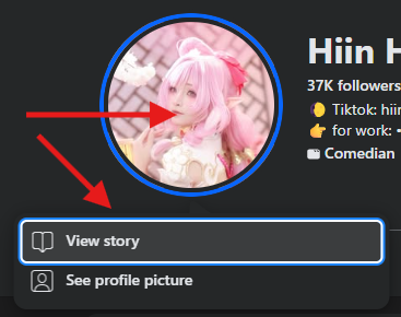 story-downloader-guide-1