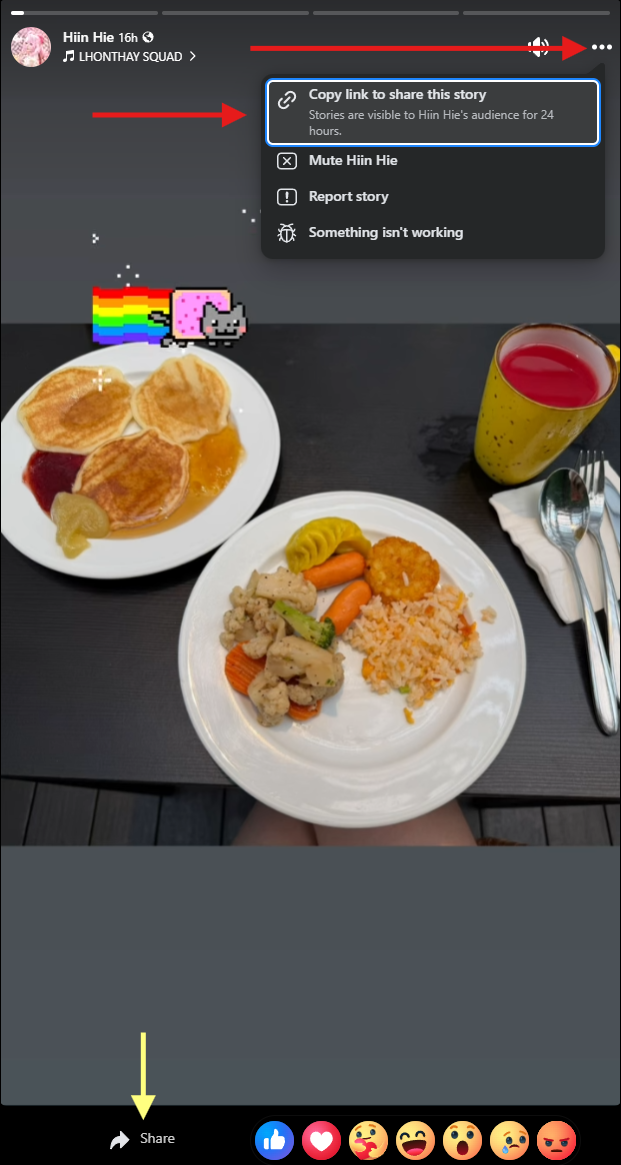 story-downloader-guide-2