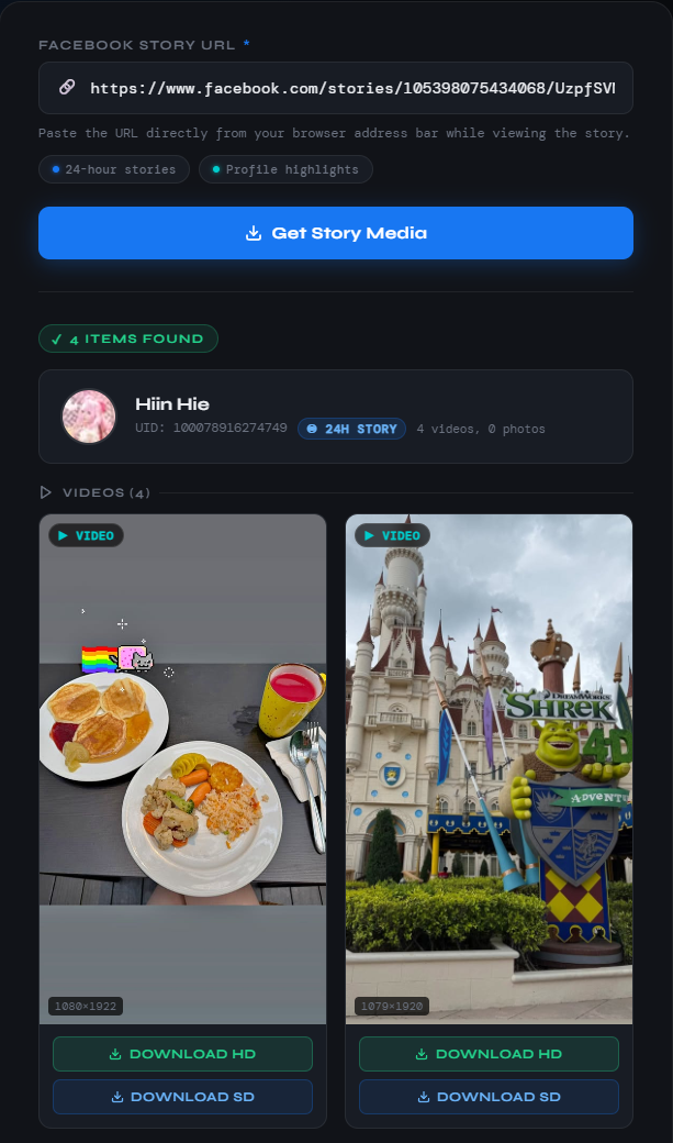 story-downloader-guide-3
